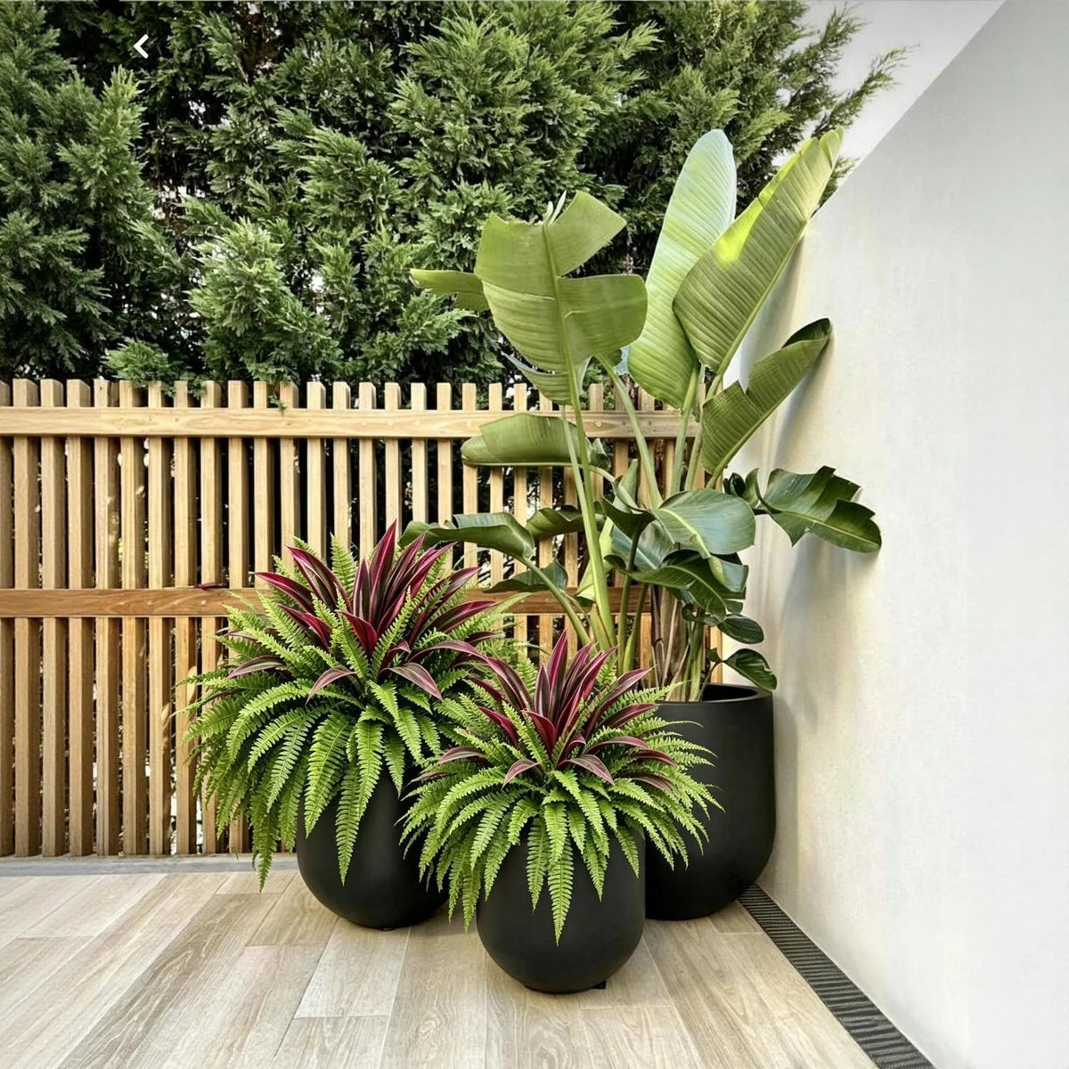 UV-Resistant Artificial Fern & Red Dracaena Decorative Plants - Full, Lush & Fade-Resistant!