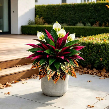 Autumn-themed garden arrangement featuring artificial peace lilies, red dracaena, and orange croton