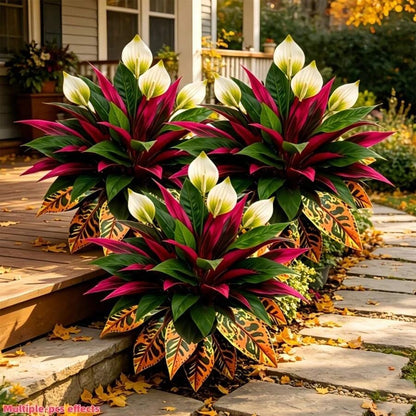 Autumn-themed garden arrangement featuring artificial peace lilies, red dracaena, and orange croton