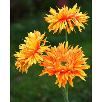 Multi-color Artificial Spider Gerbera Daisy