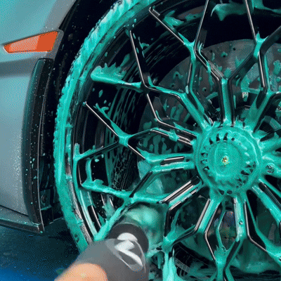 Car wheel cleaning brush