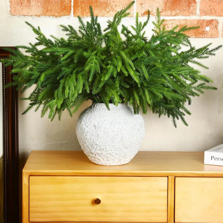 🔥Last Day 60% OFF🔥The Best Holiday Greenery - Realistic Norfolk Pine Stems