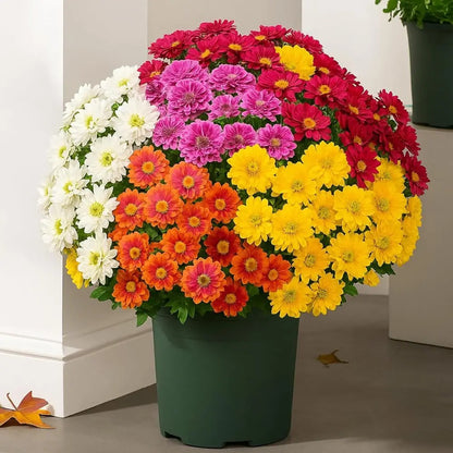 Artificial Outdoor Sunset Mums Flowers - UVresistant, Waterproof, Windproof