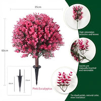 Pink Eucalyptus