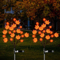 Maple Leaf Pumpkin Lantern