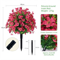 Violet-Rose red