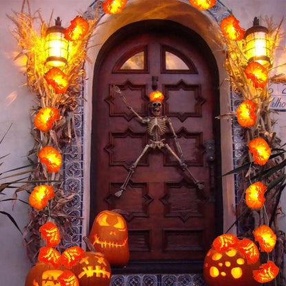 Halloween-themed LED marigold string lights（Waterproof battery box version）