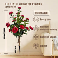 Red（Pack of 1）