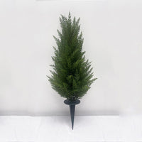 XT-75cm Cedar + Ground Stake