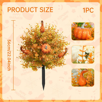 Halloween-themed eucalyptus pumpkin planting