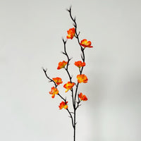 Orange×10