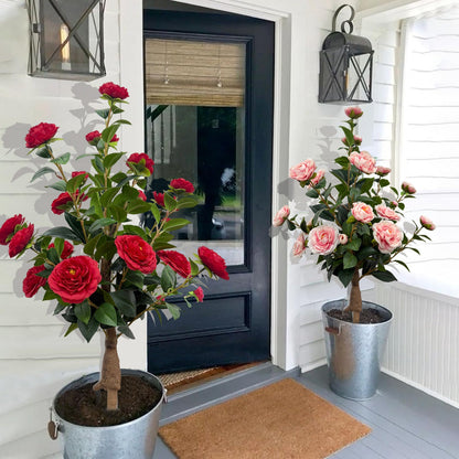Artificial Camellia Potted Tree for Outdoor Decoration (Ground-Insert Style)