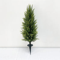 XT-90cm Cedar + Ground Stake
