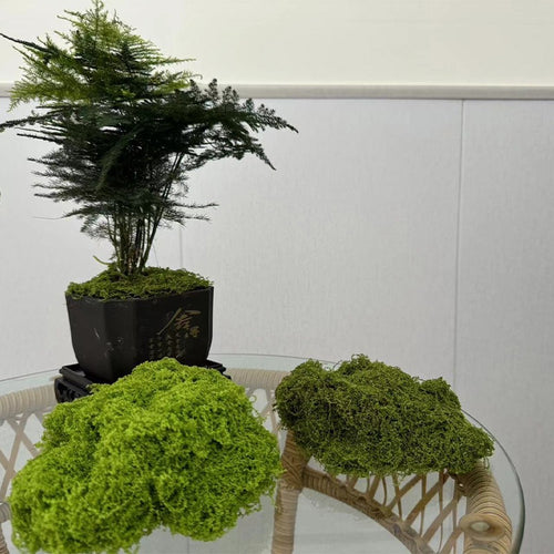 Creative Decorative Landscaping Faux Yarn Moss