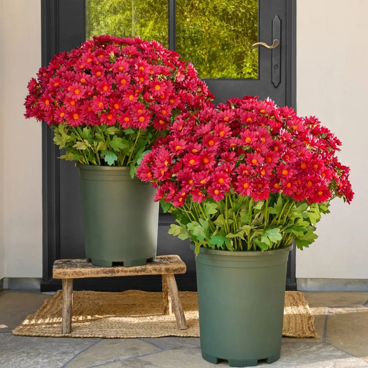 Artificial Outdoor Sunset Mums Flowers - UVresistant, Waterproof, Windproof
