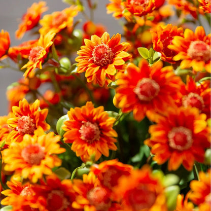 Artificial Outdoor Sunset Mums Flowers - UVresistant, Waterproof, Windproof