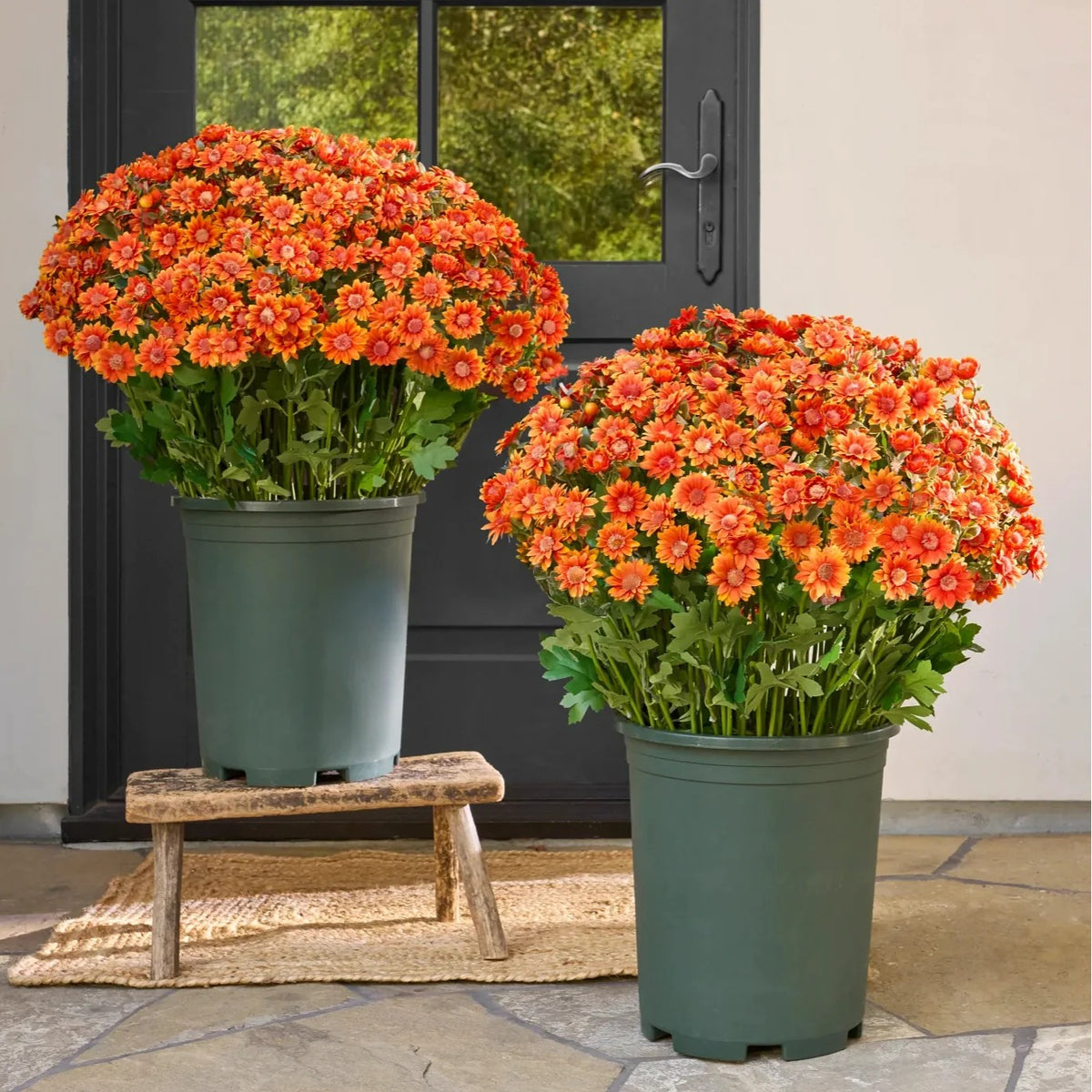 Artificial Outdoor Sunset Mums Flowers - UVresistant, Waterproof, Windproof