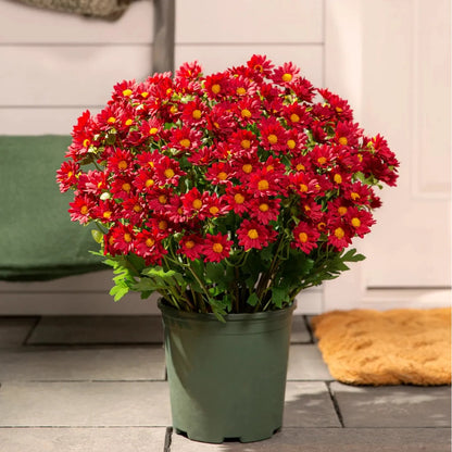 Artificial Outdoor Sunset Mums Flowers - UVresistant, Waterproof, Windproof