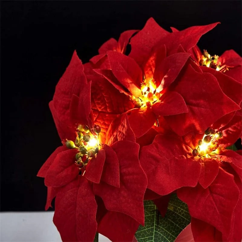Christmas Poinsettia String Lights with Red Flowers and Berries