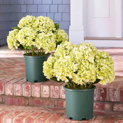 Artificial Outdoor Hydrangea Flowers - UV resistant, Waterproof, Windproof
