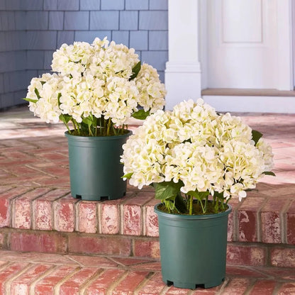 Artificial Outdoor Hydrangea Flowers - UV resistant, Waterproof, Windproof
