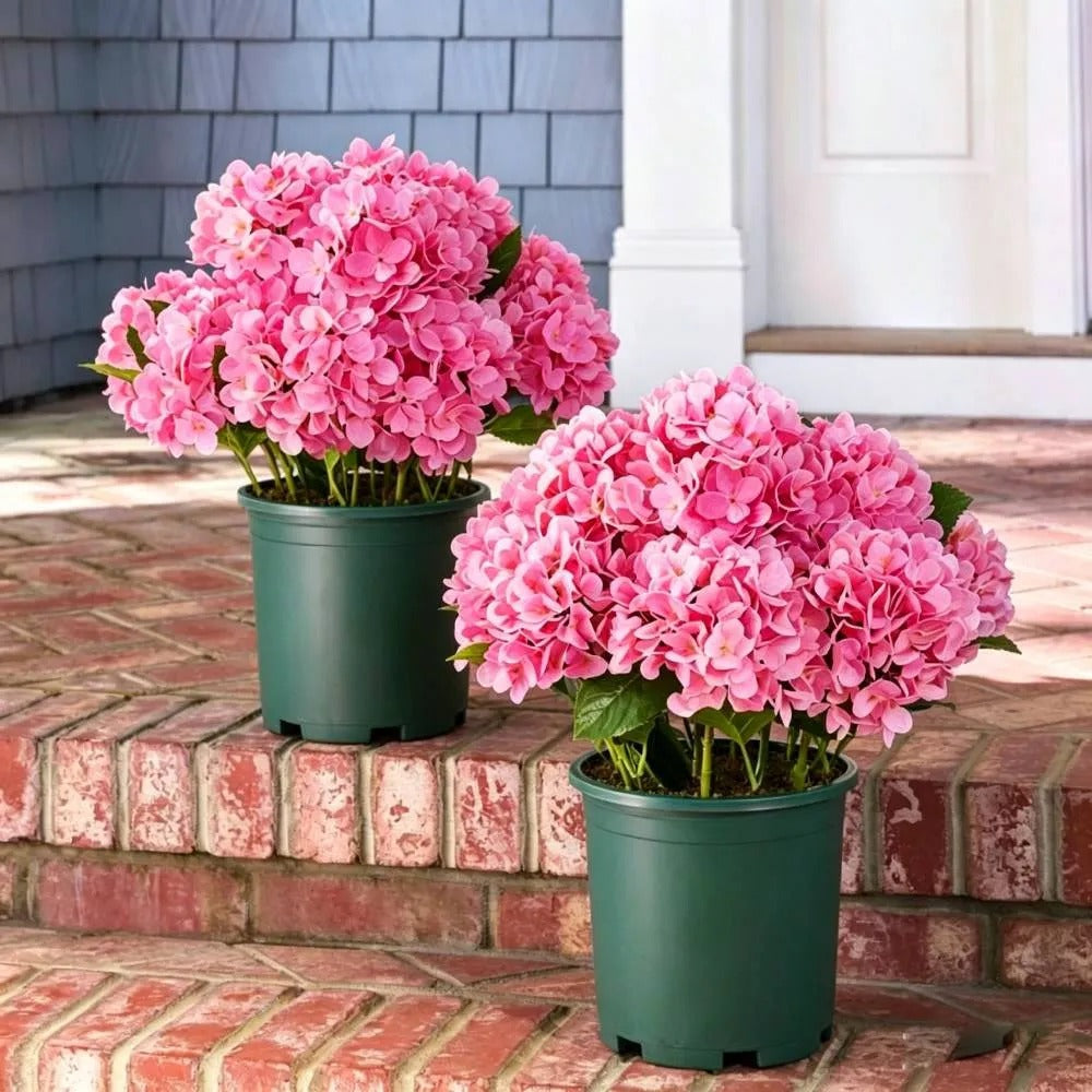 Artificial Outdoor Hydrangea Flowers - UV resistant, Waterproof, Windproof