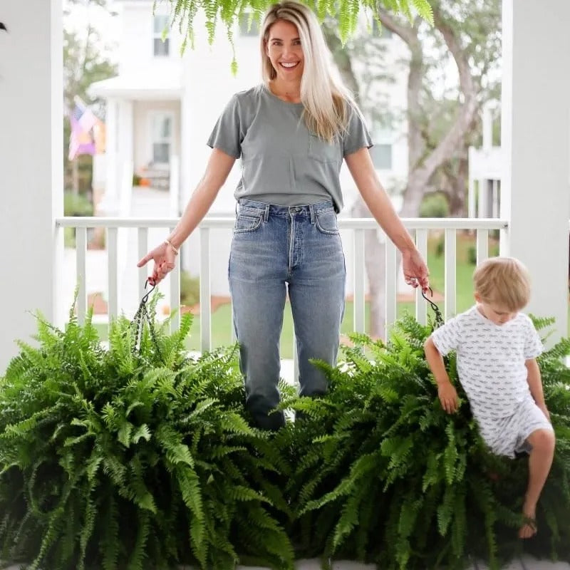 🔥 🌱 UV-Resistant Lifelike Artificial Boston Fern🌱