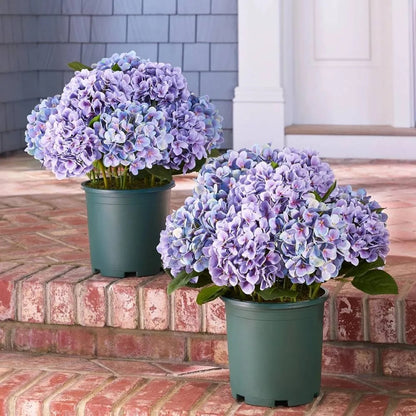 Artificial Outdoor Hydrangea Flowers - UV resistant, Waterproof, Windproof