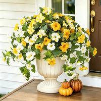 Yellow and white