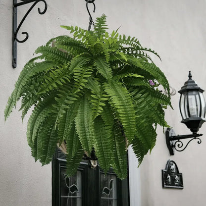 🔥 🌱 UV-Resistant Lifelike Artificial Boston Fern🌱