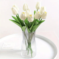 Cream White